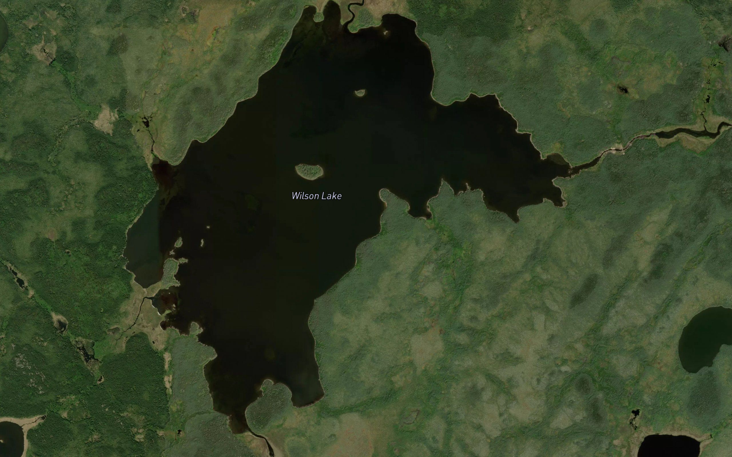 Wilson Lake