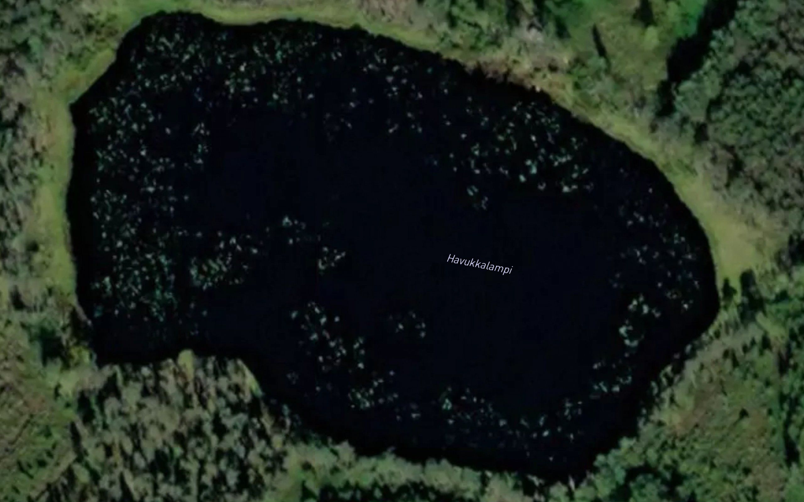 Havukkalampi