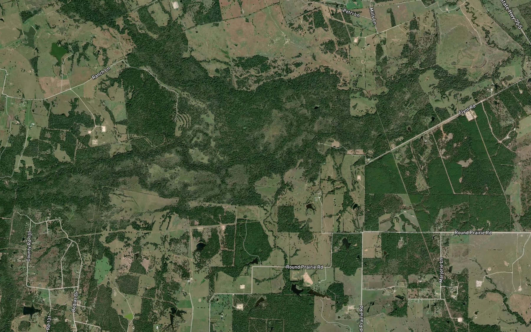 Satellite map of the Boney Branch