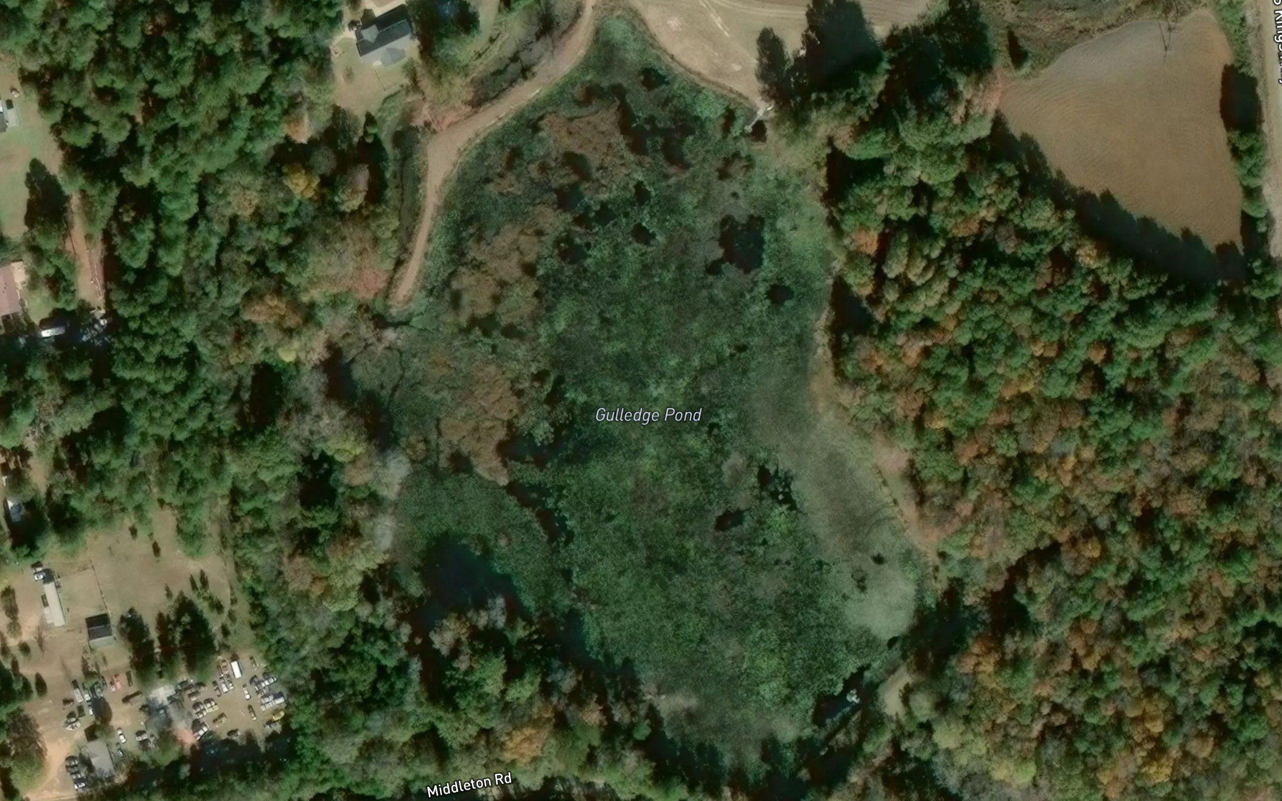 Gulledge Pond