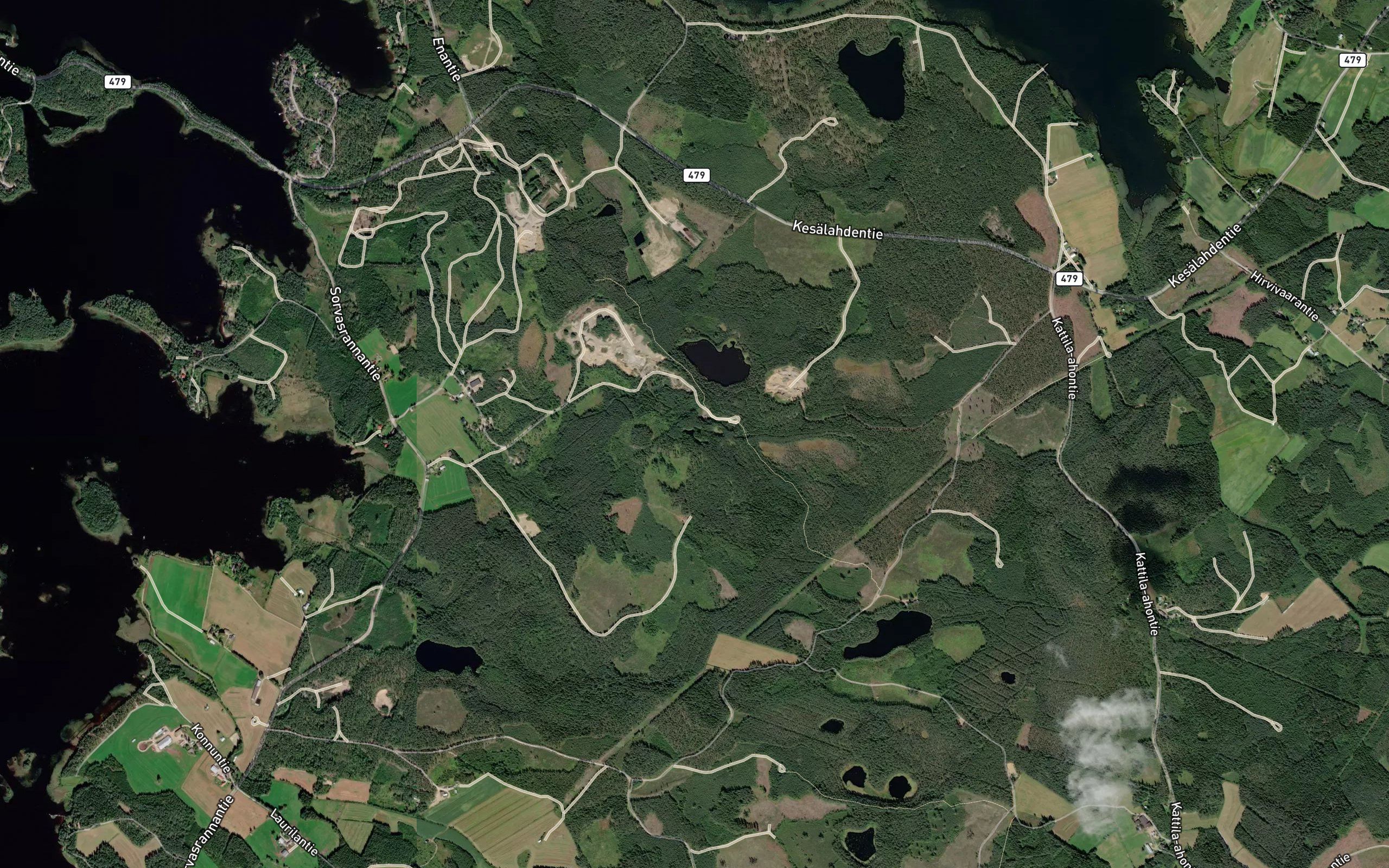 Hevoskenganlammit