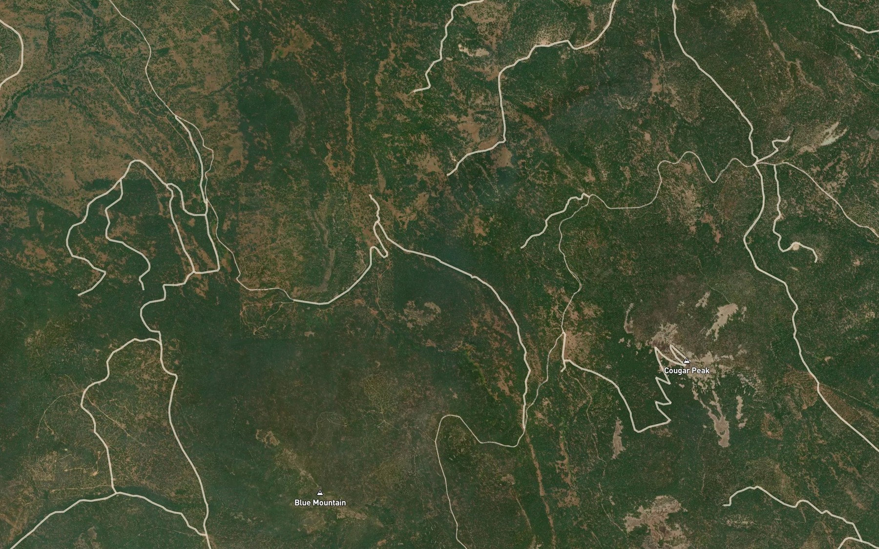 Satellite map of the McClendon Spring