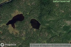 Den lisle Berlitjonna