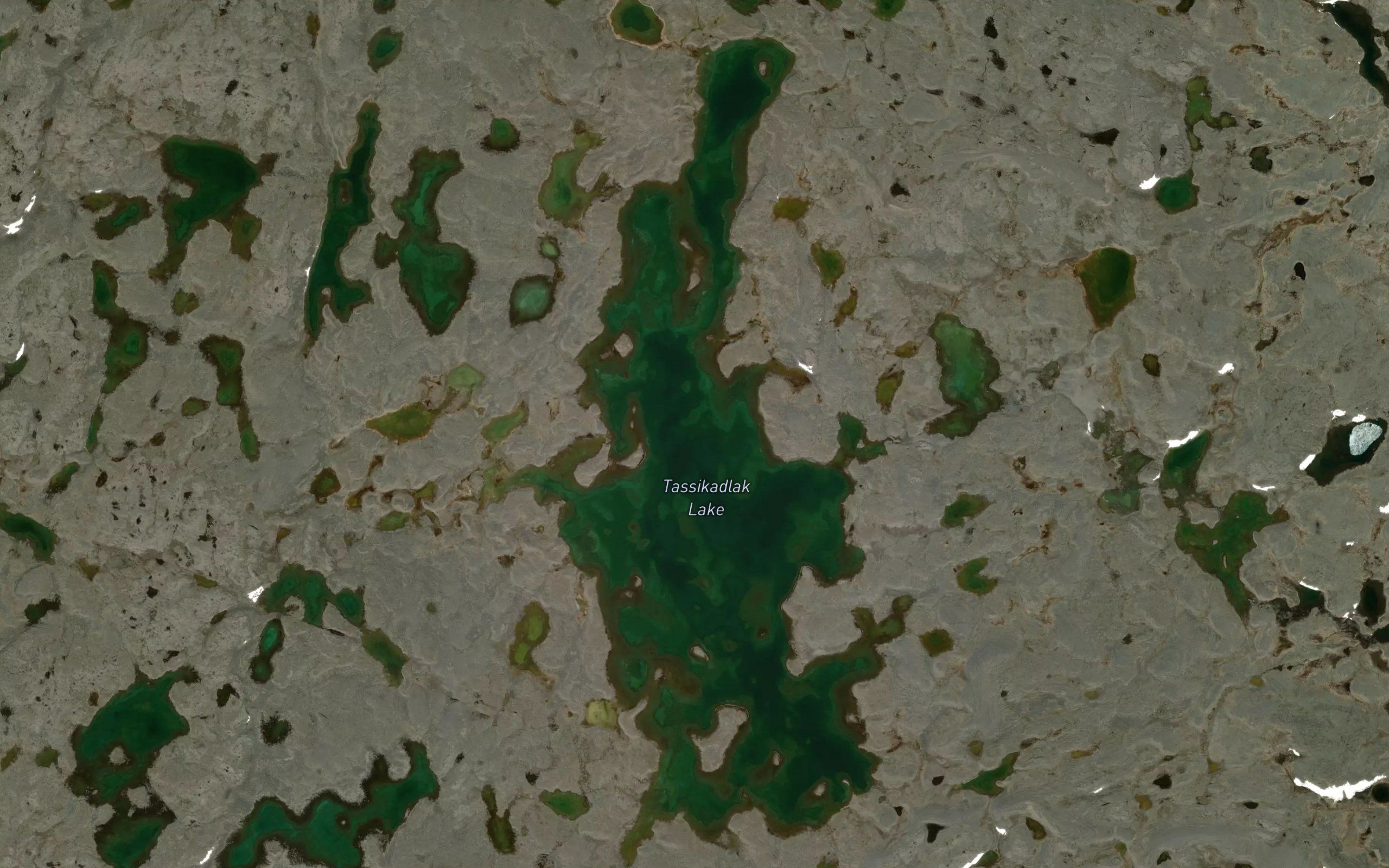 Tassikadlak Lake