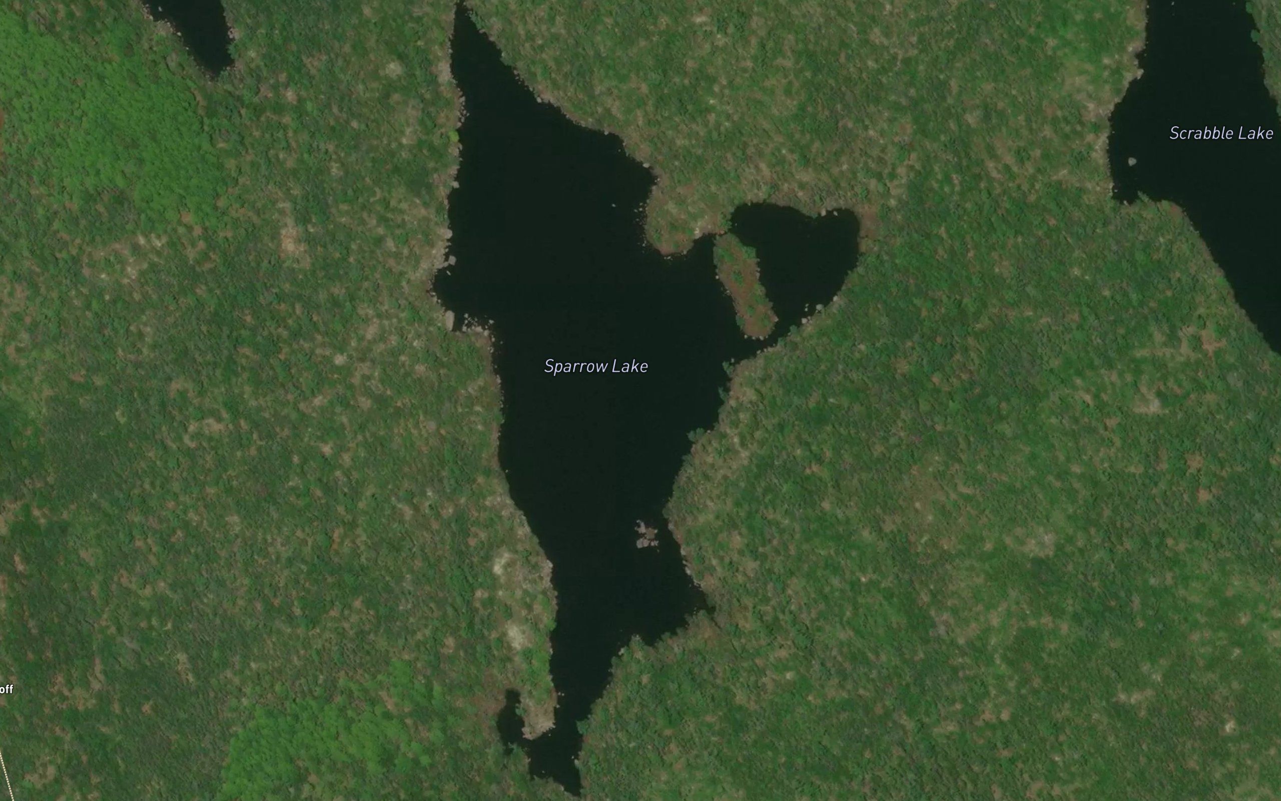 Sparrow Lake