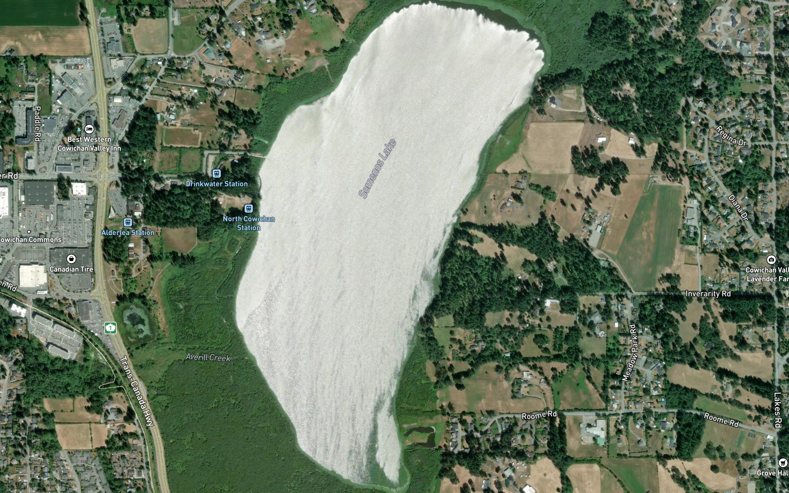Somenos Lake