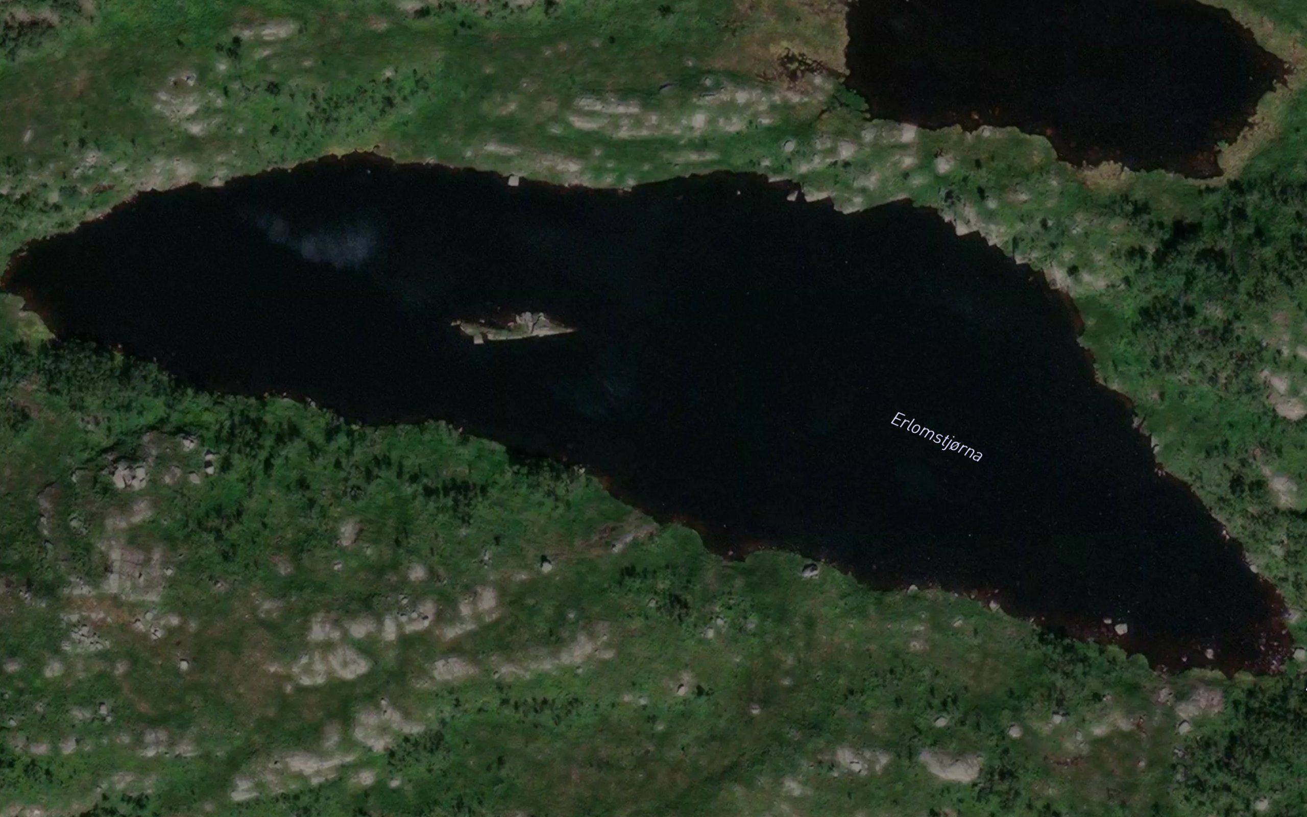 Erlomstjorna