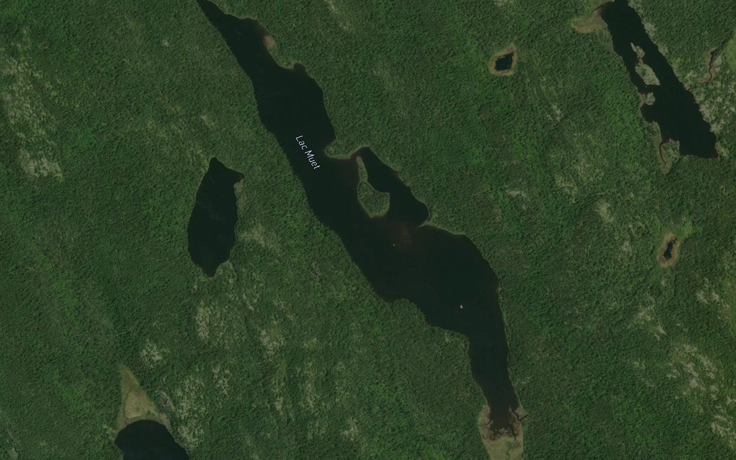Lac Muet