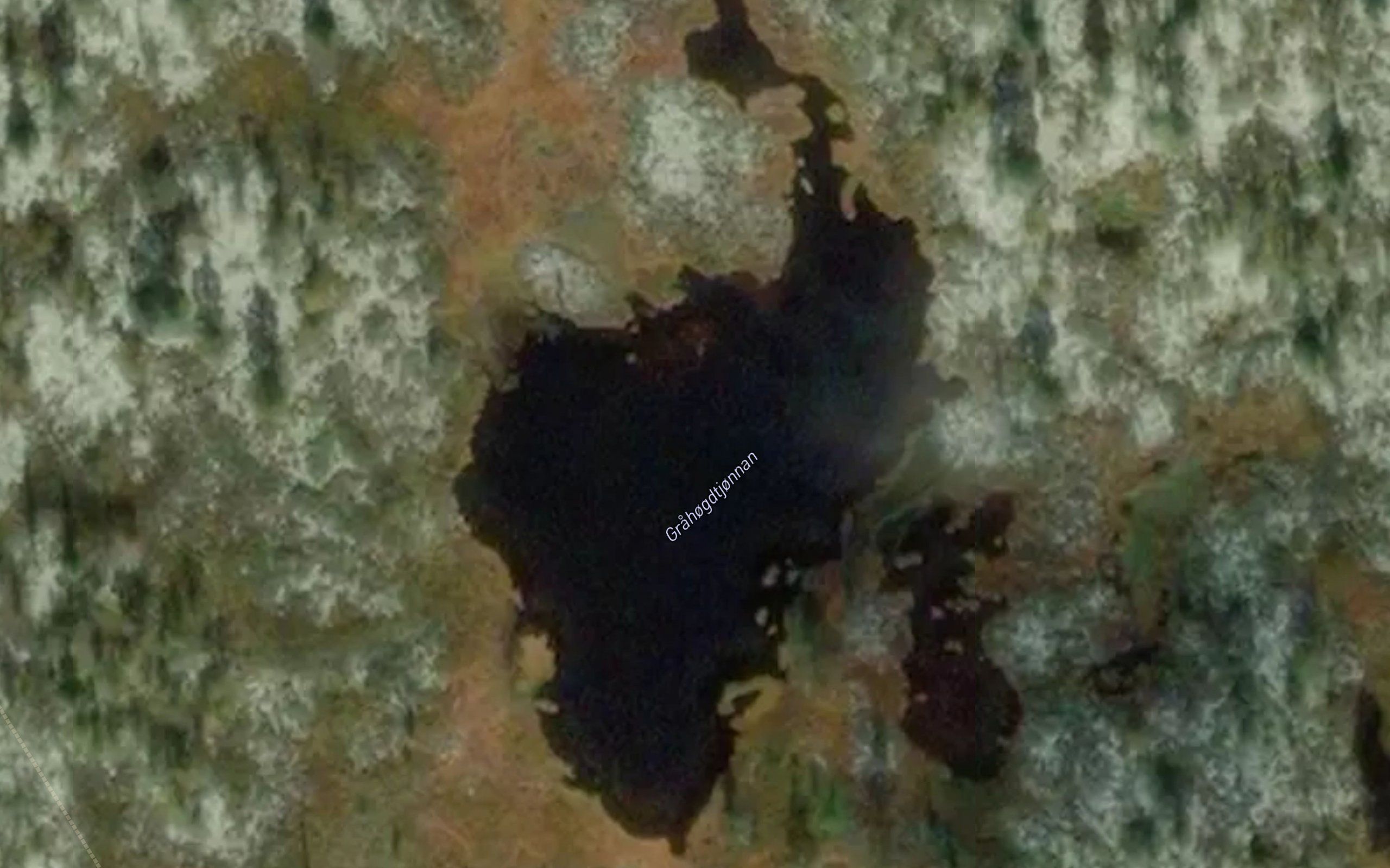 Grahogdtjornan
