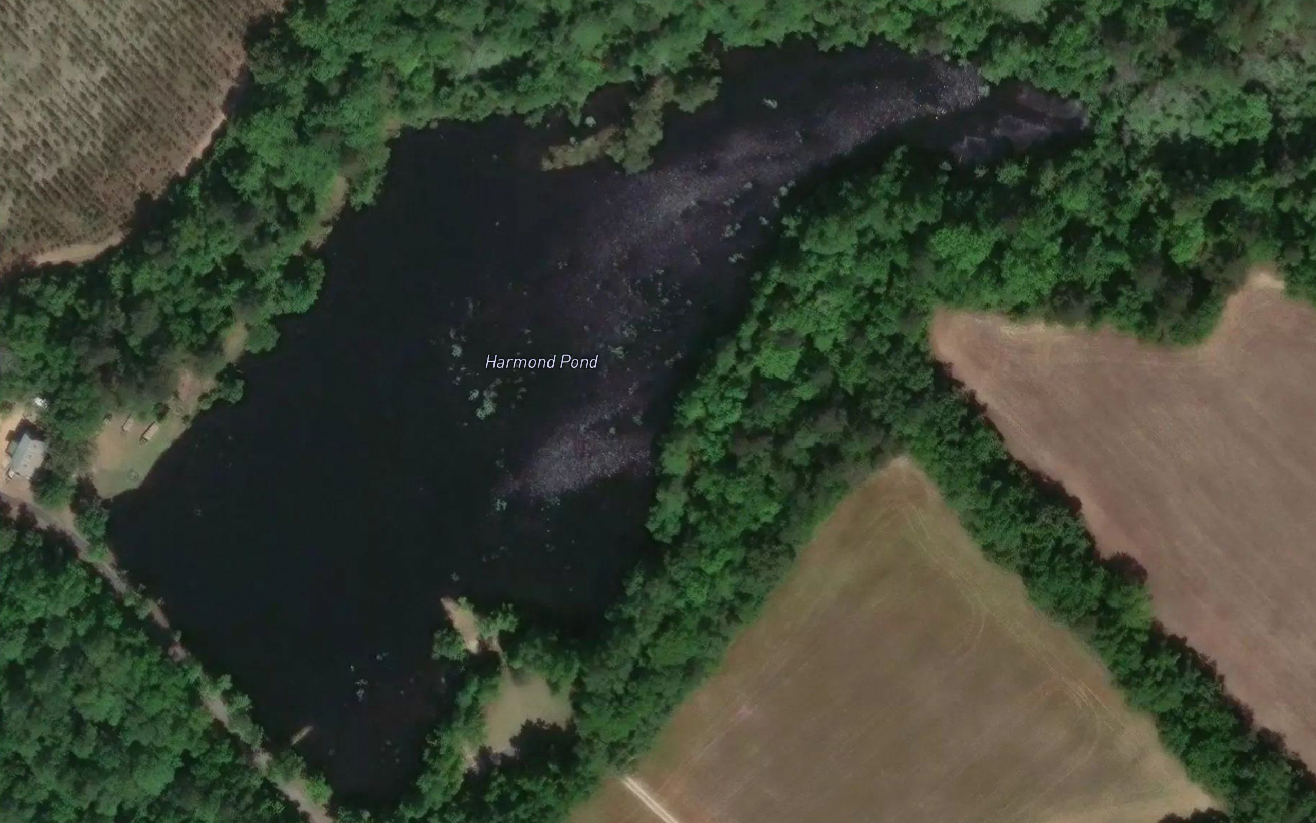 Harmond Pond
