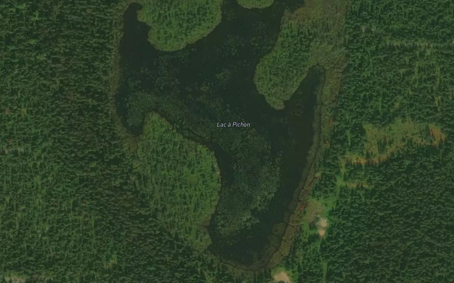 Satellite map of the Lac a Pichon