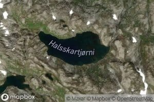 Halsskardtjorni