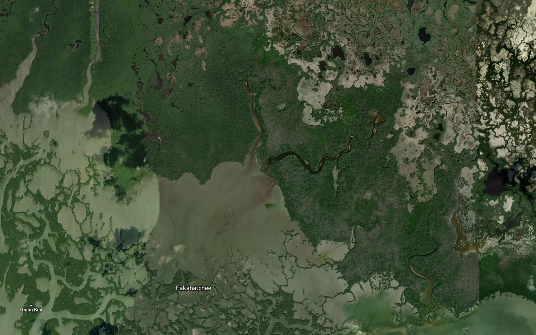 Satellite map of the East River