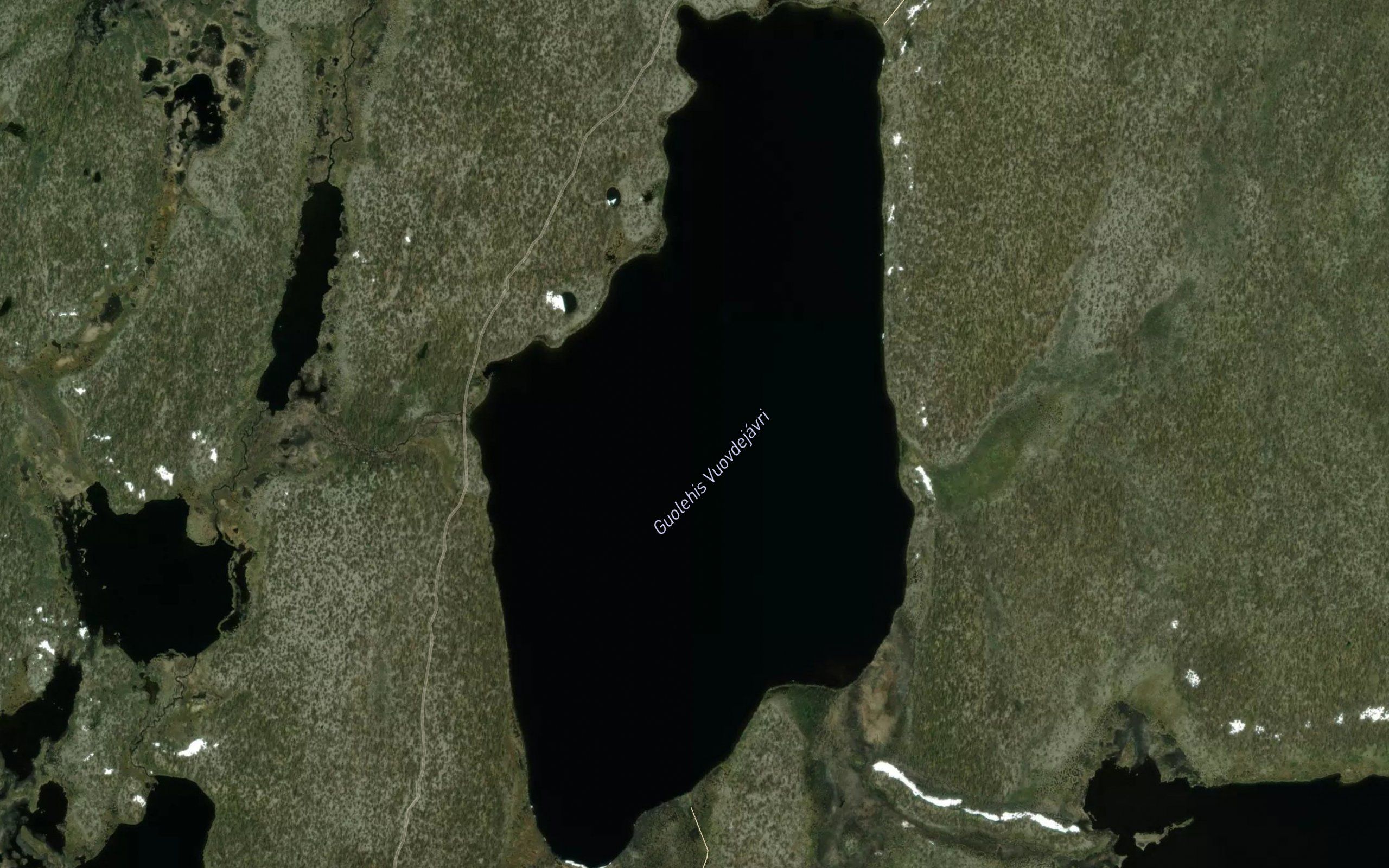 Vuovdejavri,guolehis