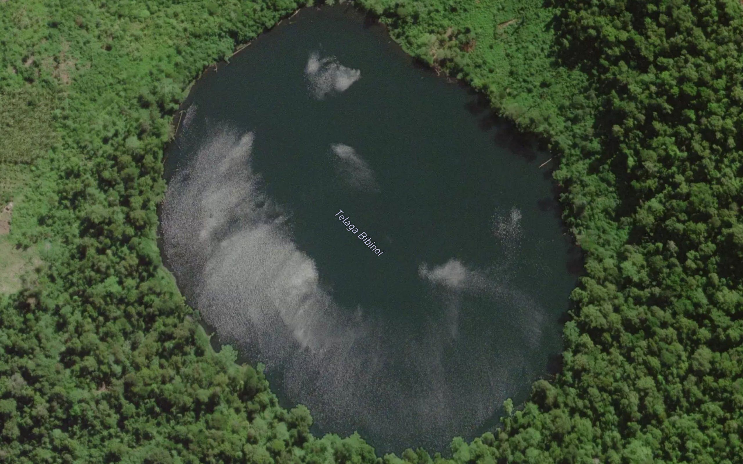 Telaga Songa