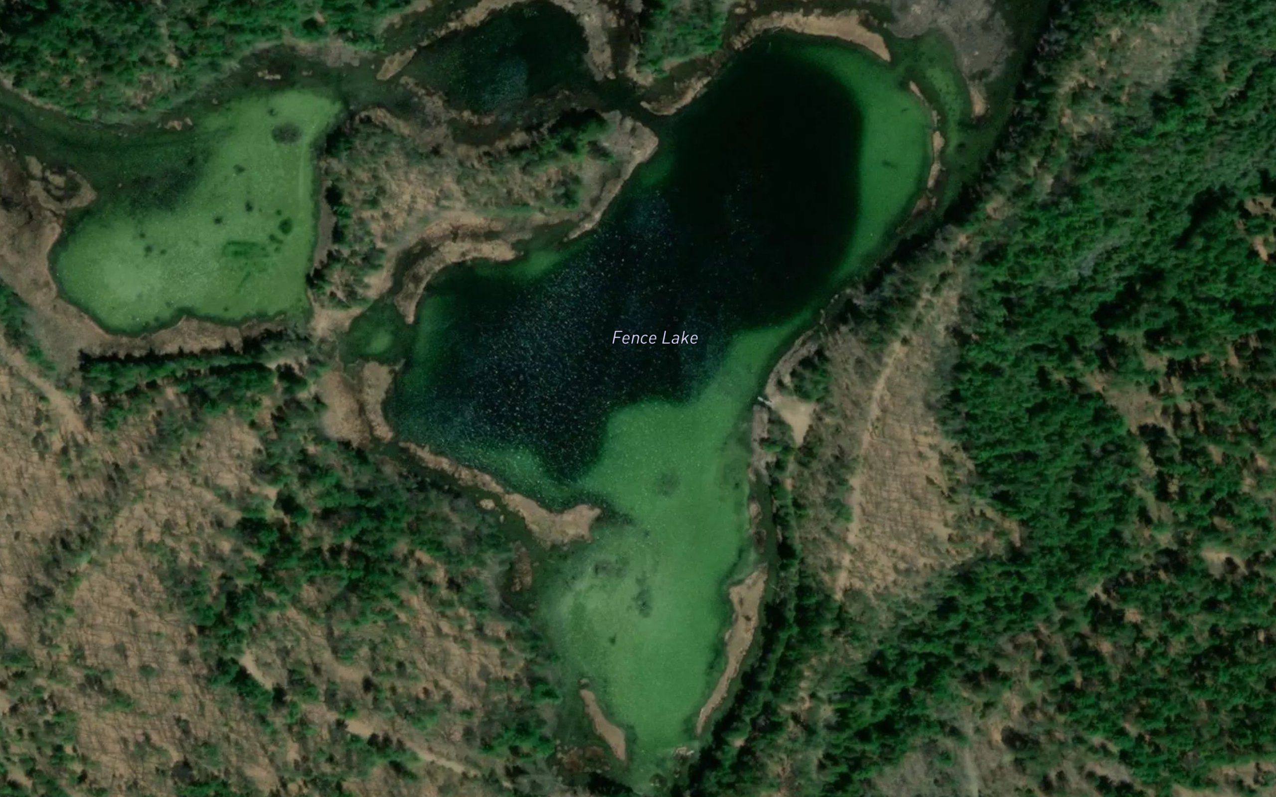 Fence Lake