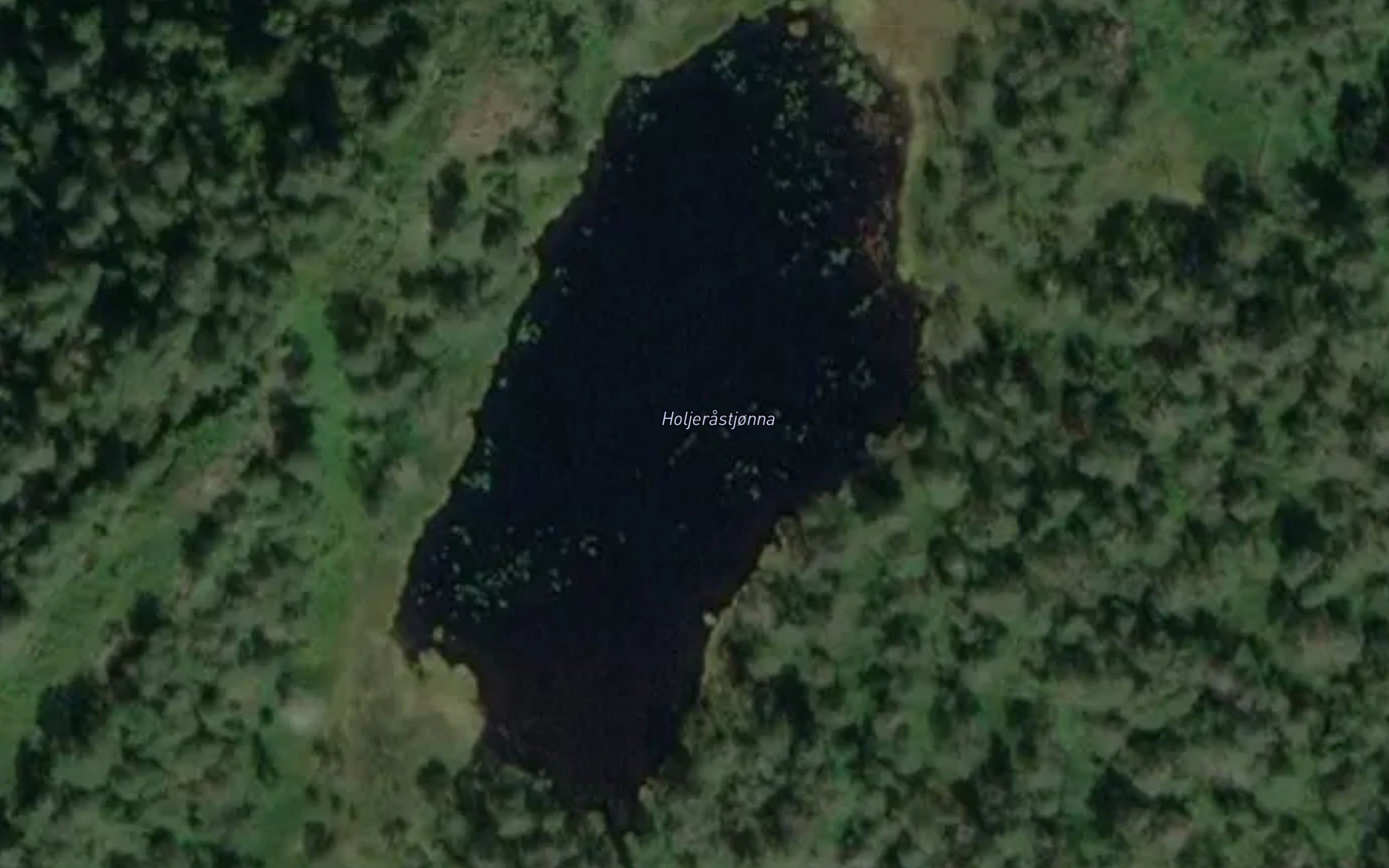 Holjerastjonna