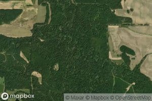 Straight Fence Creek