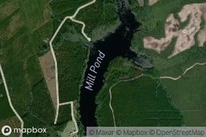 Mill Pond