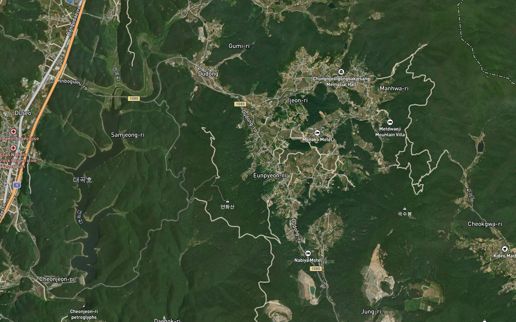 Satellite map of the Deomdwiji