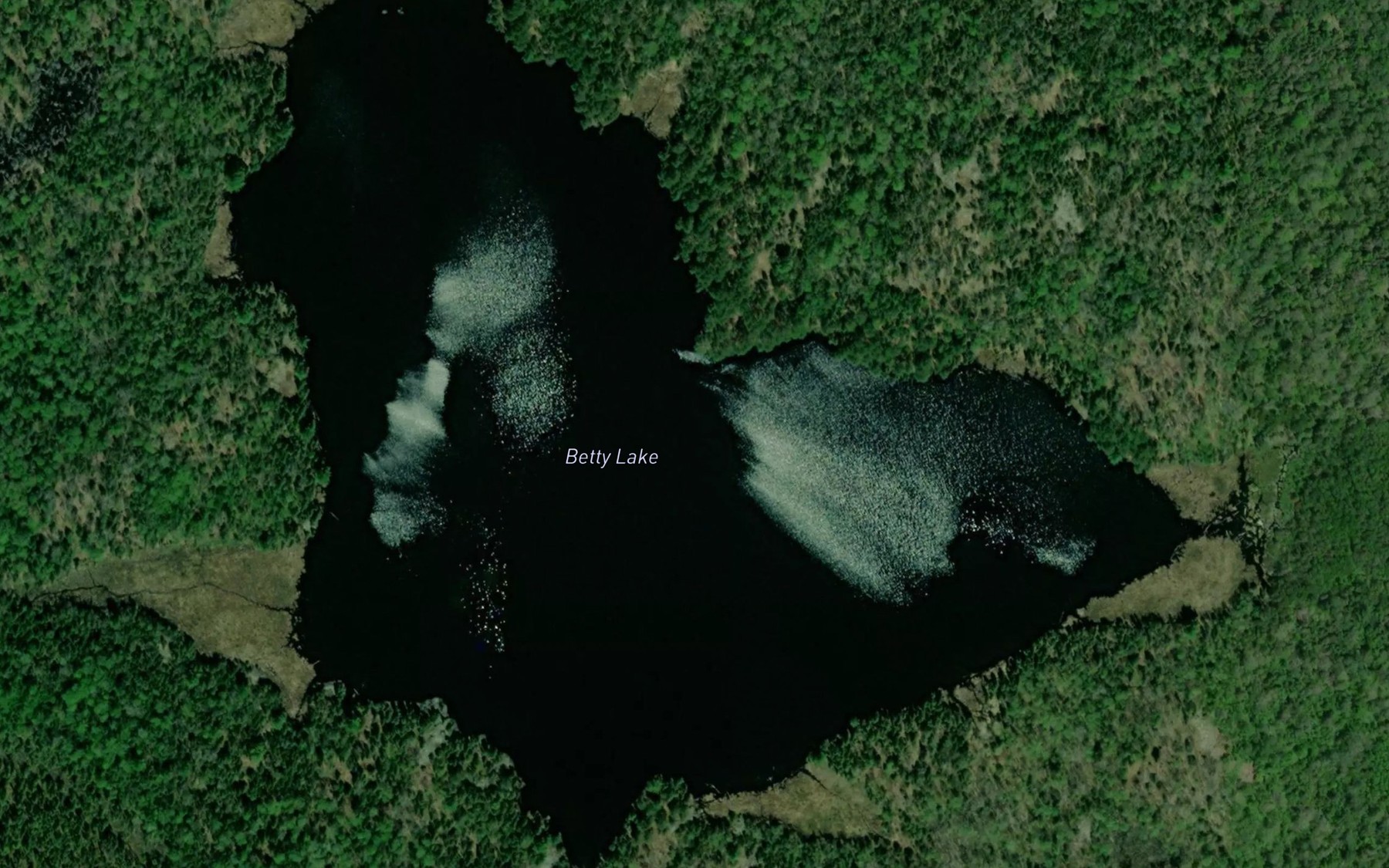 Satellite map of the Betty Lake