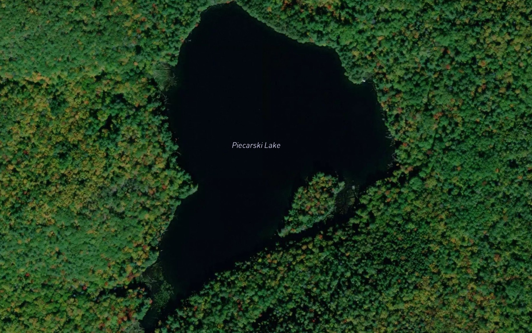 Satellite map of the Piecarski Lake