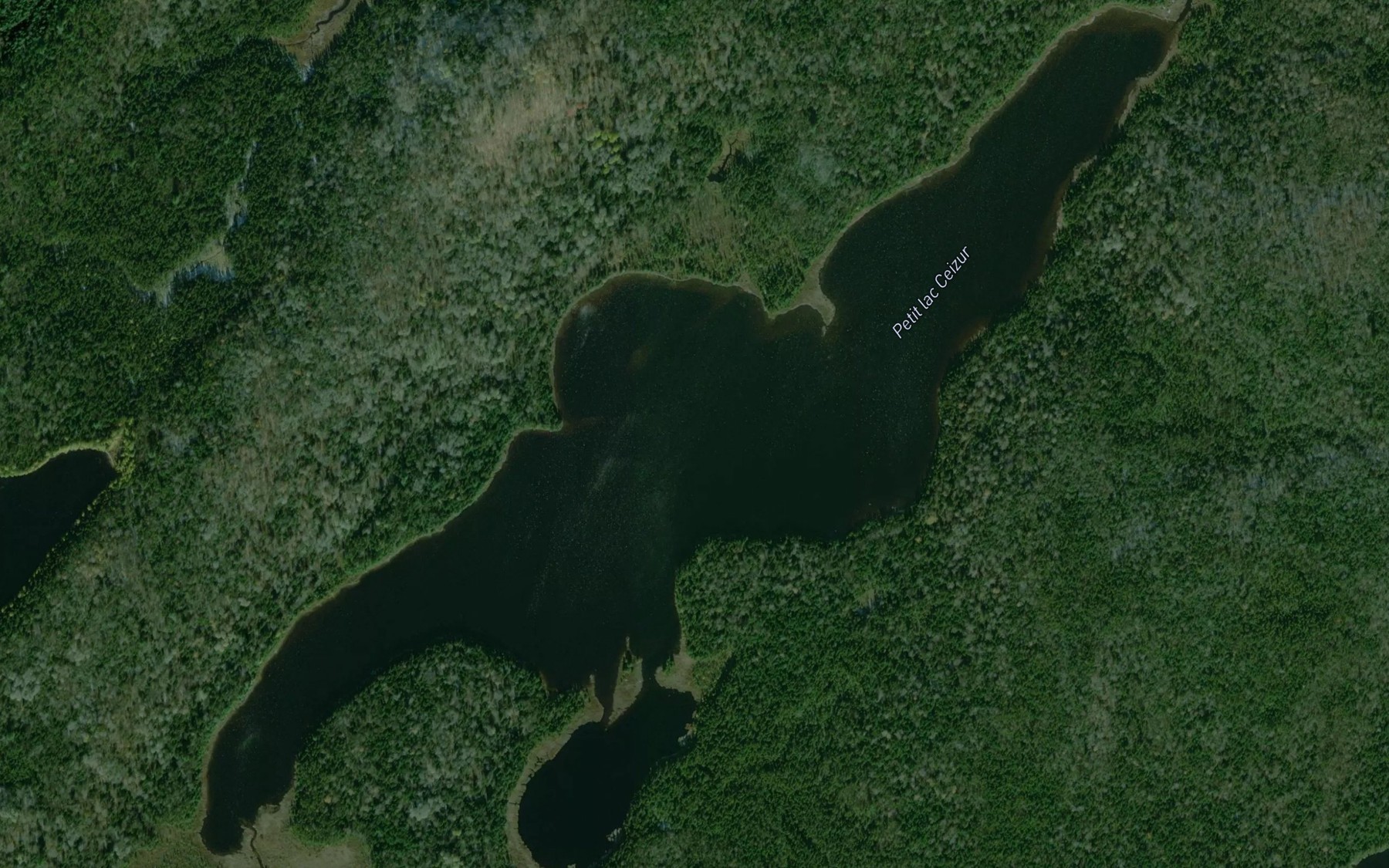 Satellite map of the Petit lac Ceizur