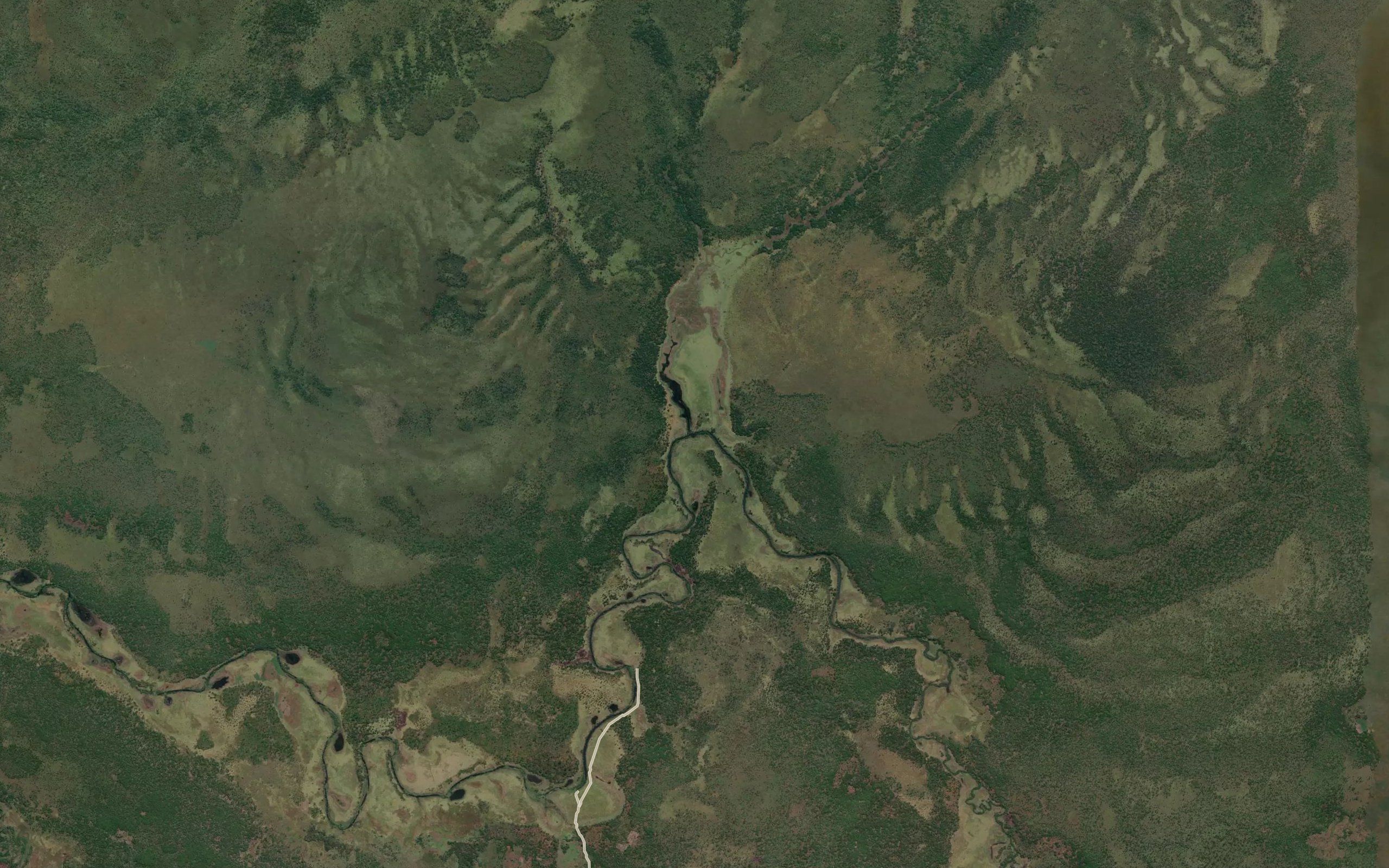 Camocolondondo