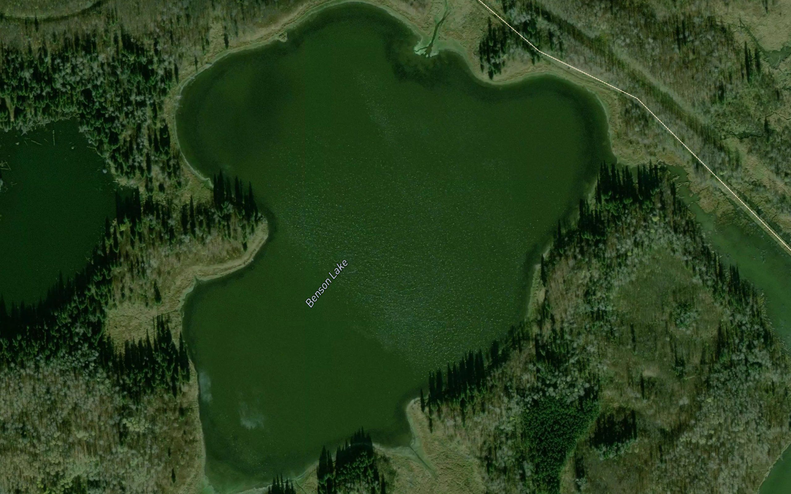 Benson Lake