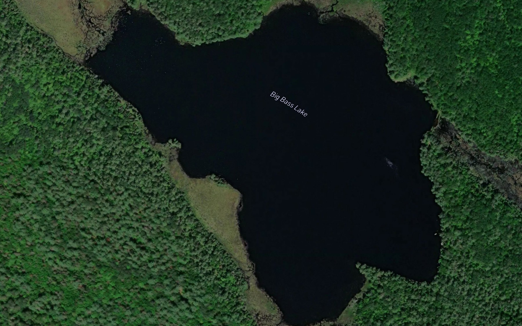 Satellite map of the Big Bass Lake