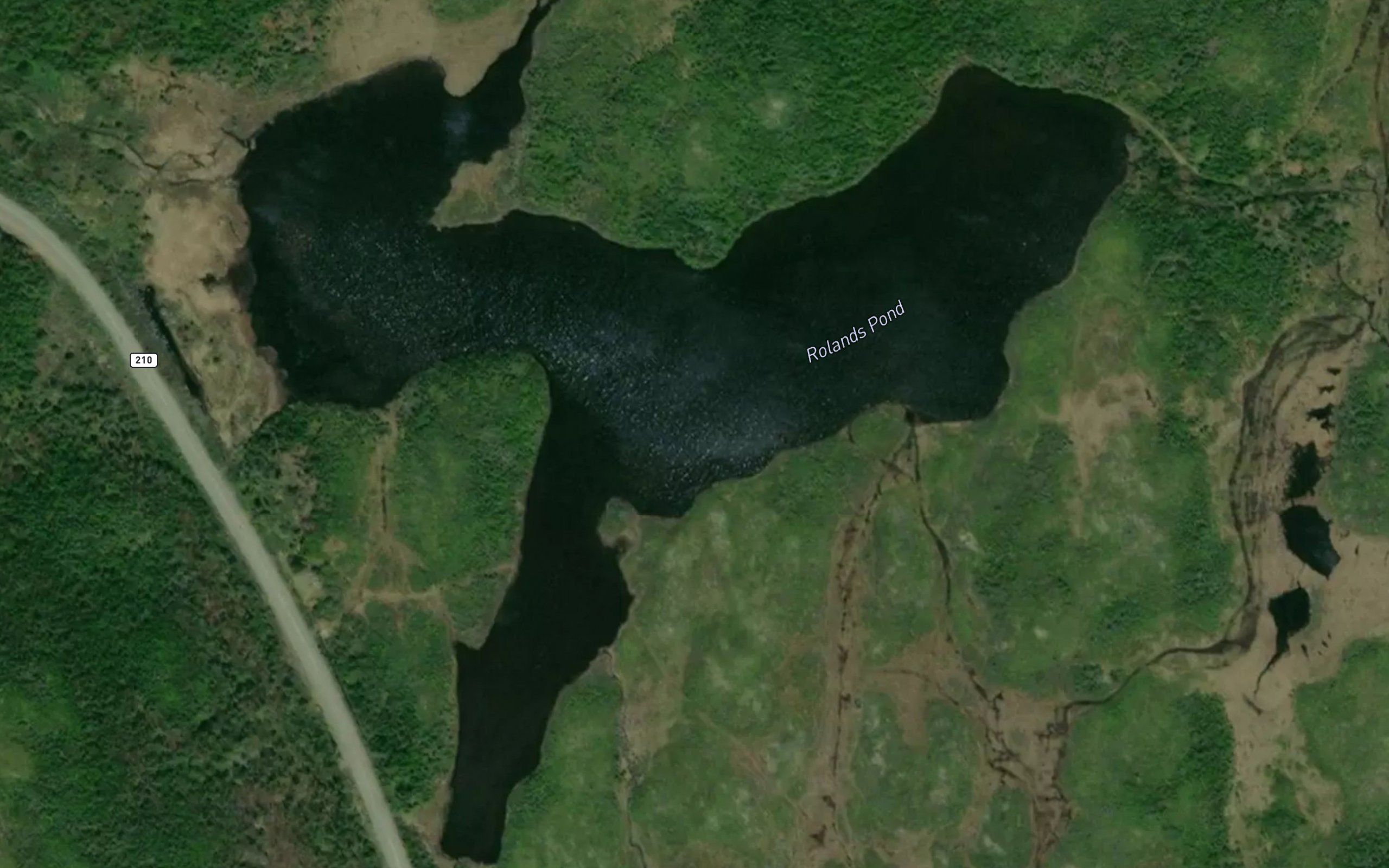 Rolands Pond