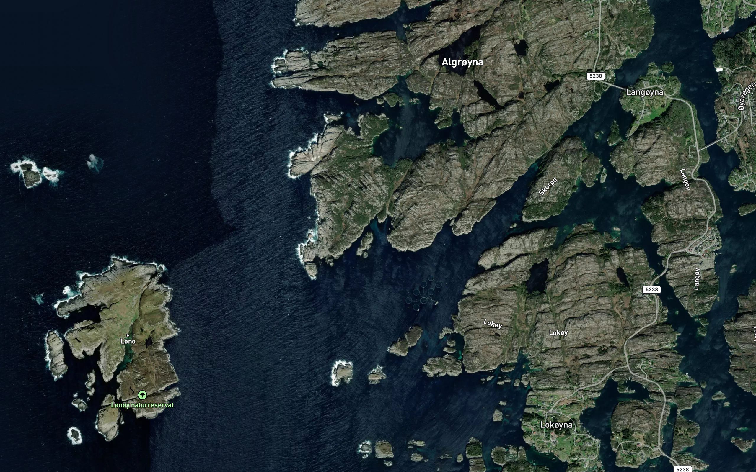 Anesvika