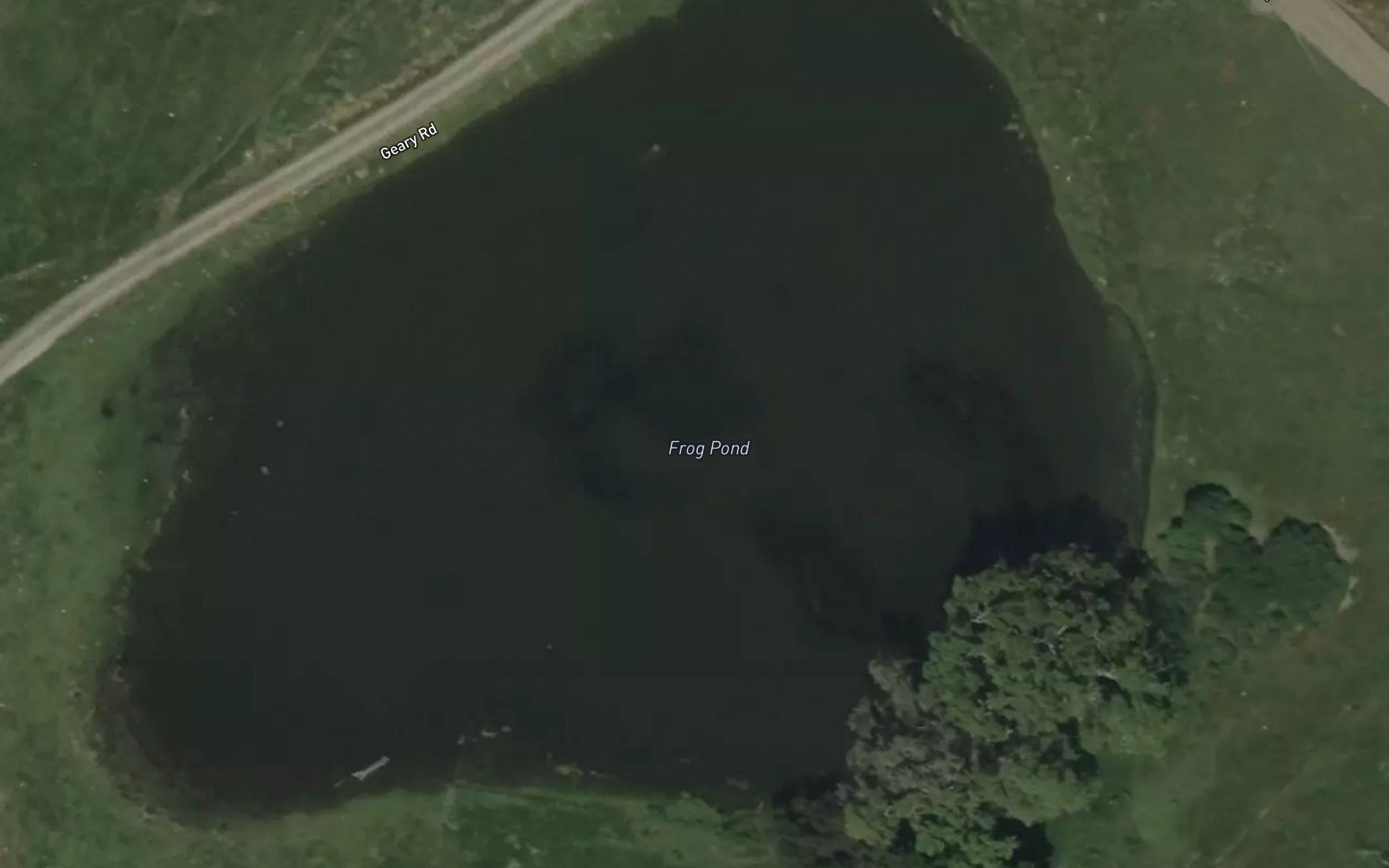 Frog Pond (historical)