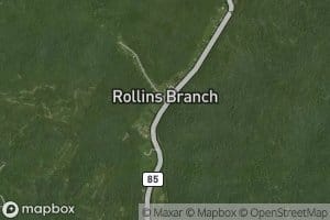 Rollins Branch