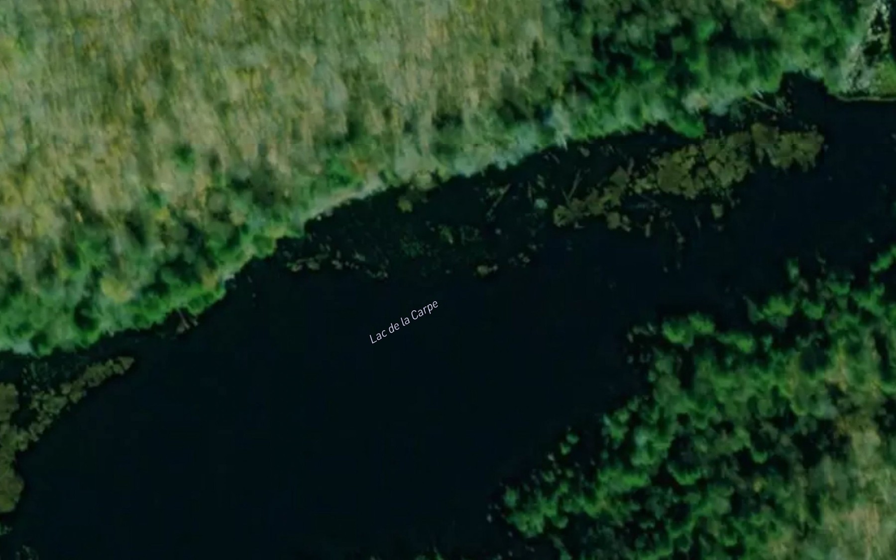 Satellite map of the Lac de la Carpe