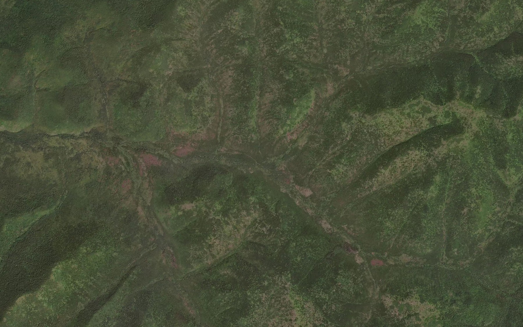 Satellite map of the Kedrovyy