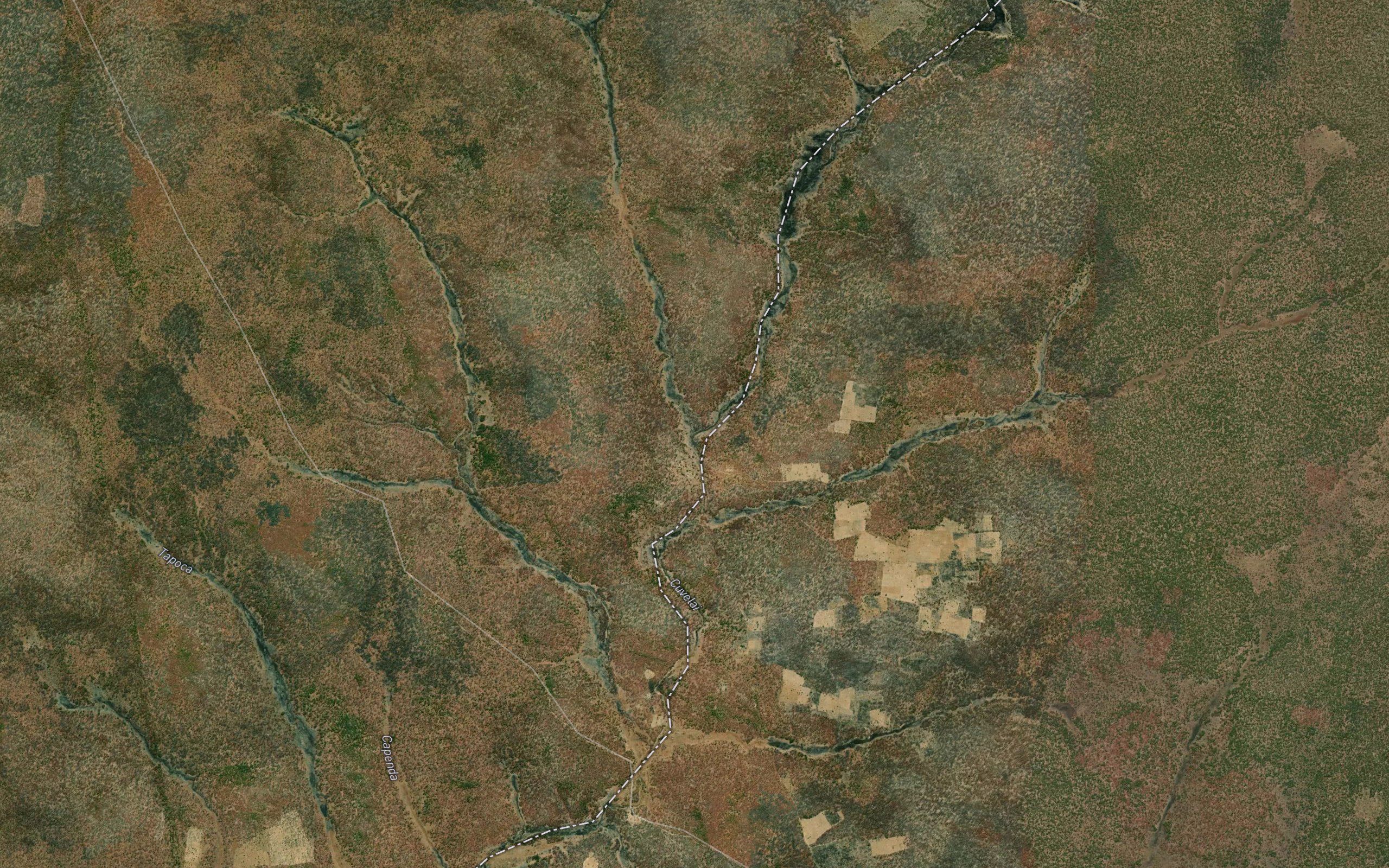 Lissole-ia-Mocongo