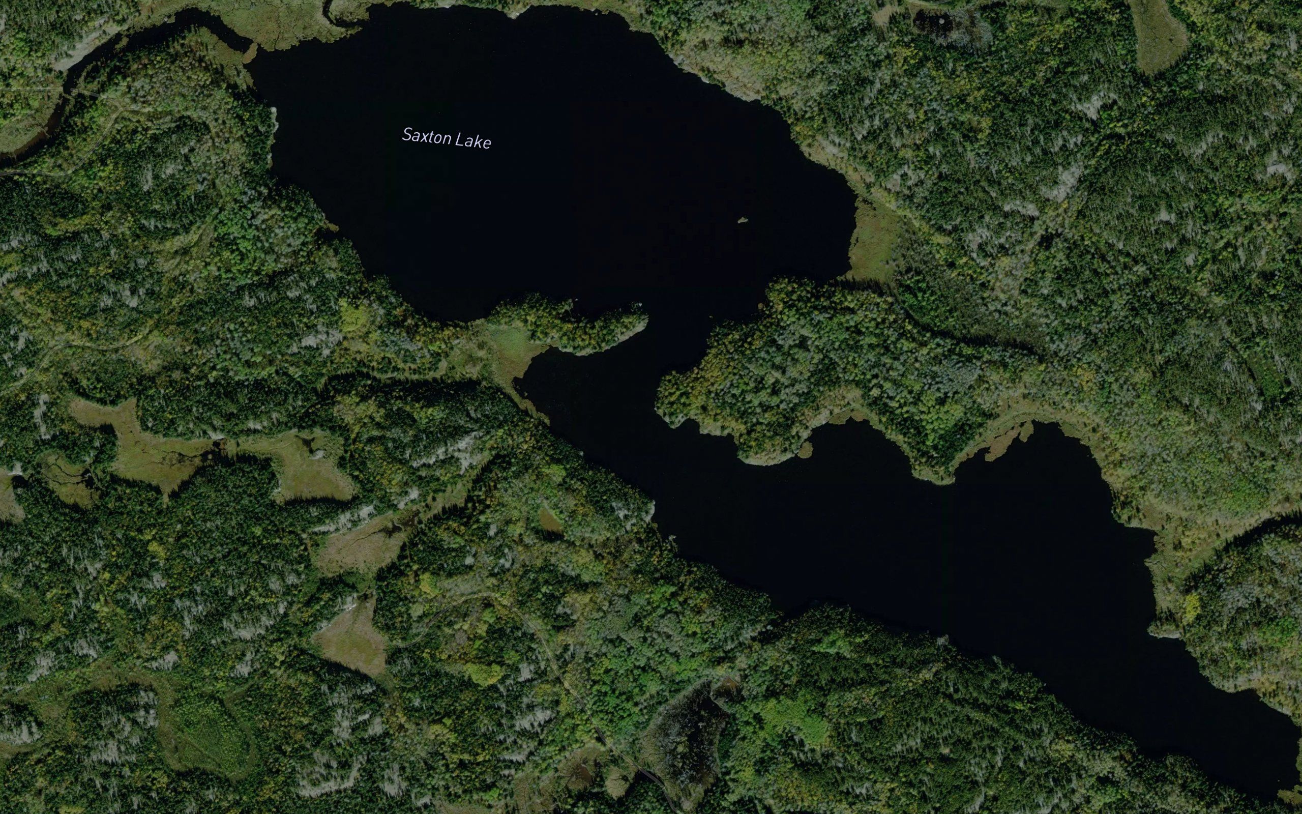 Saxton Lake