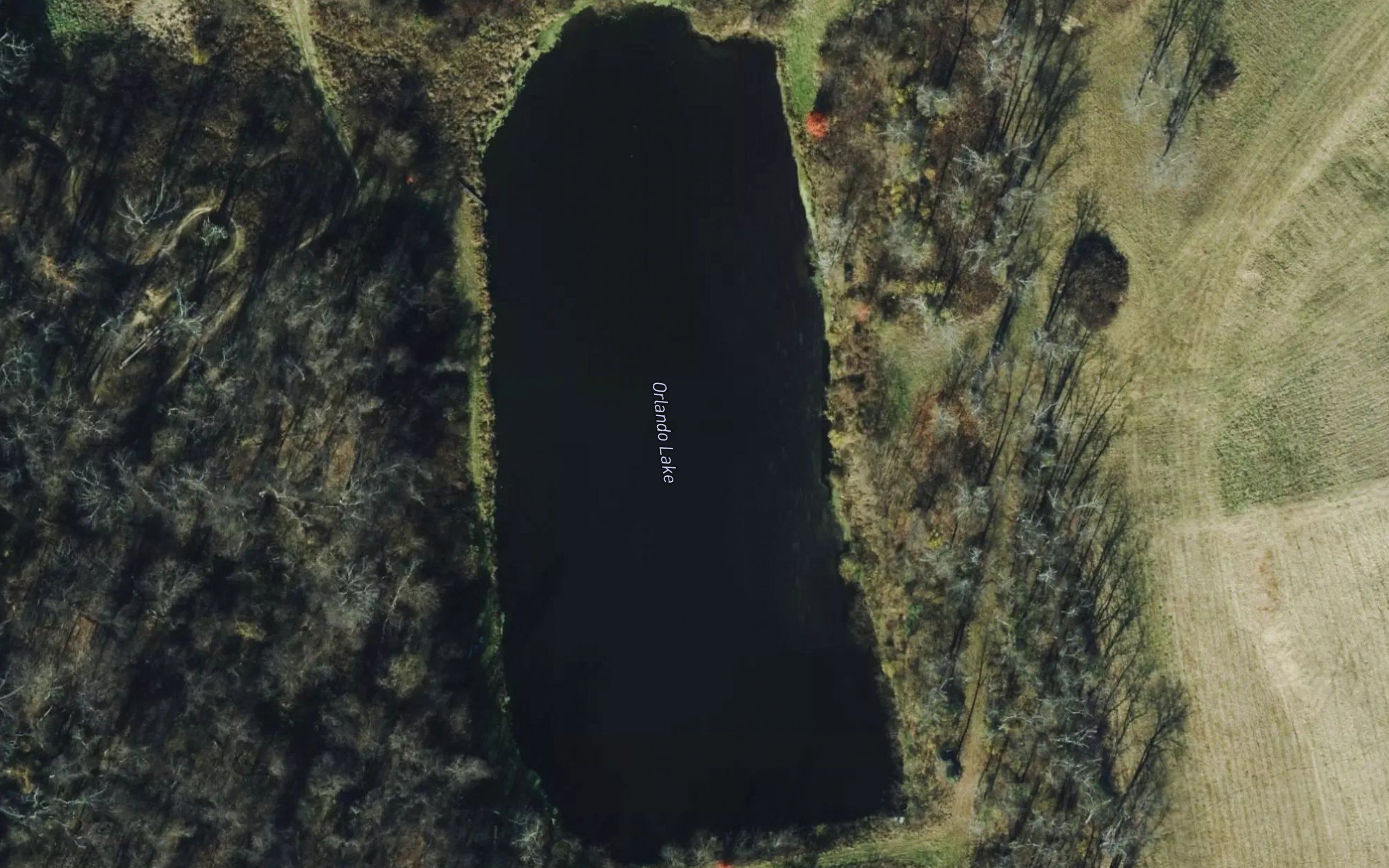 Orlando Lake
