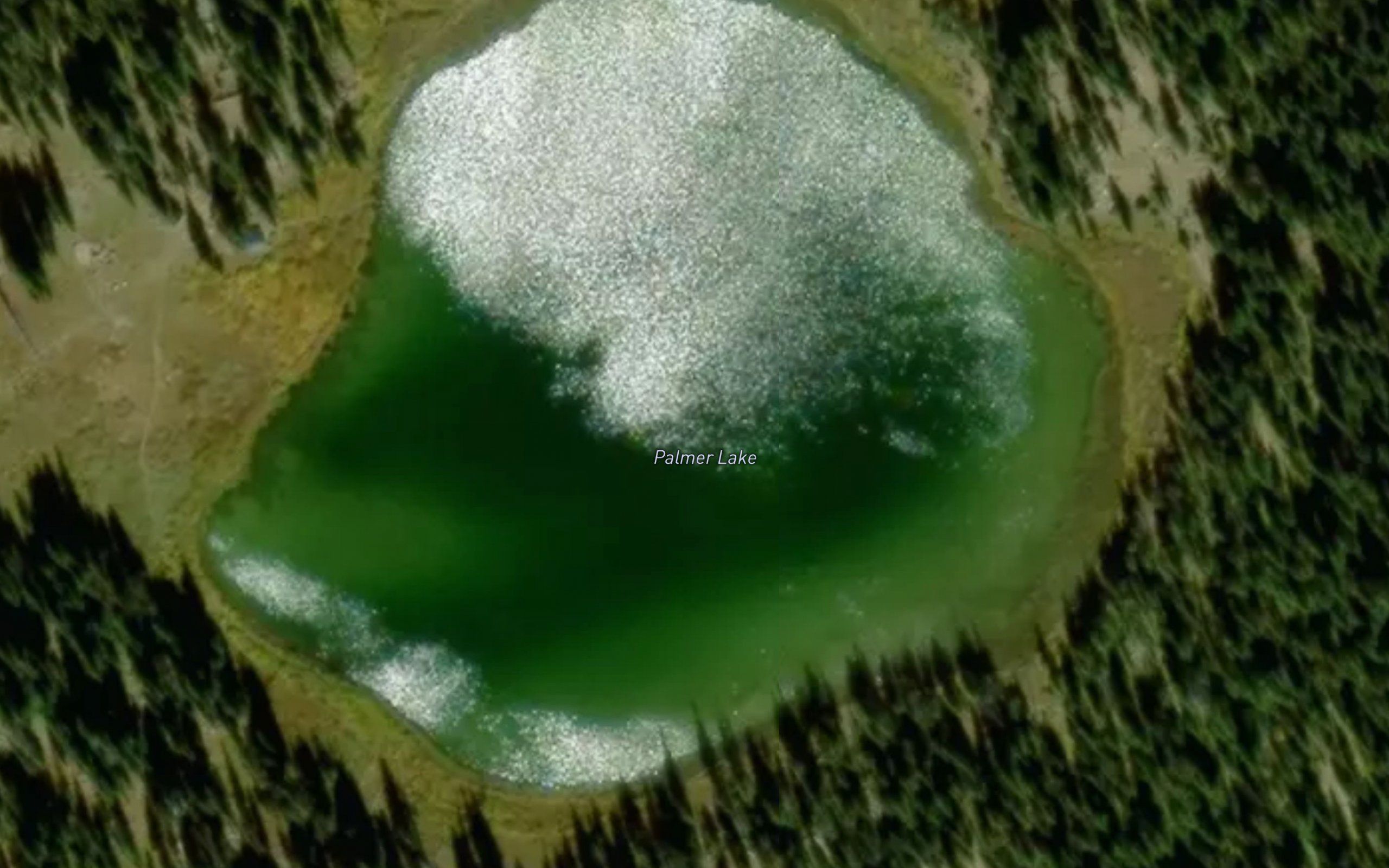 Palmer Lake