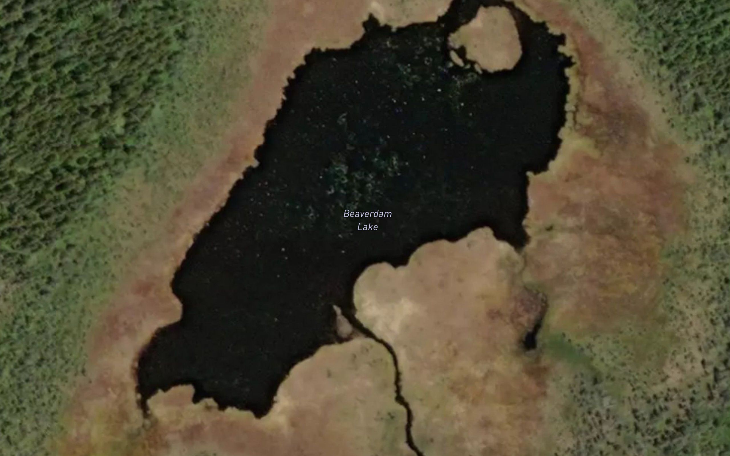 Beaverdam Lake