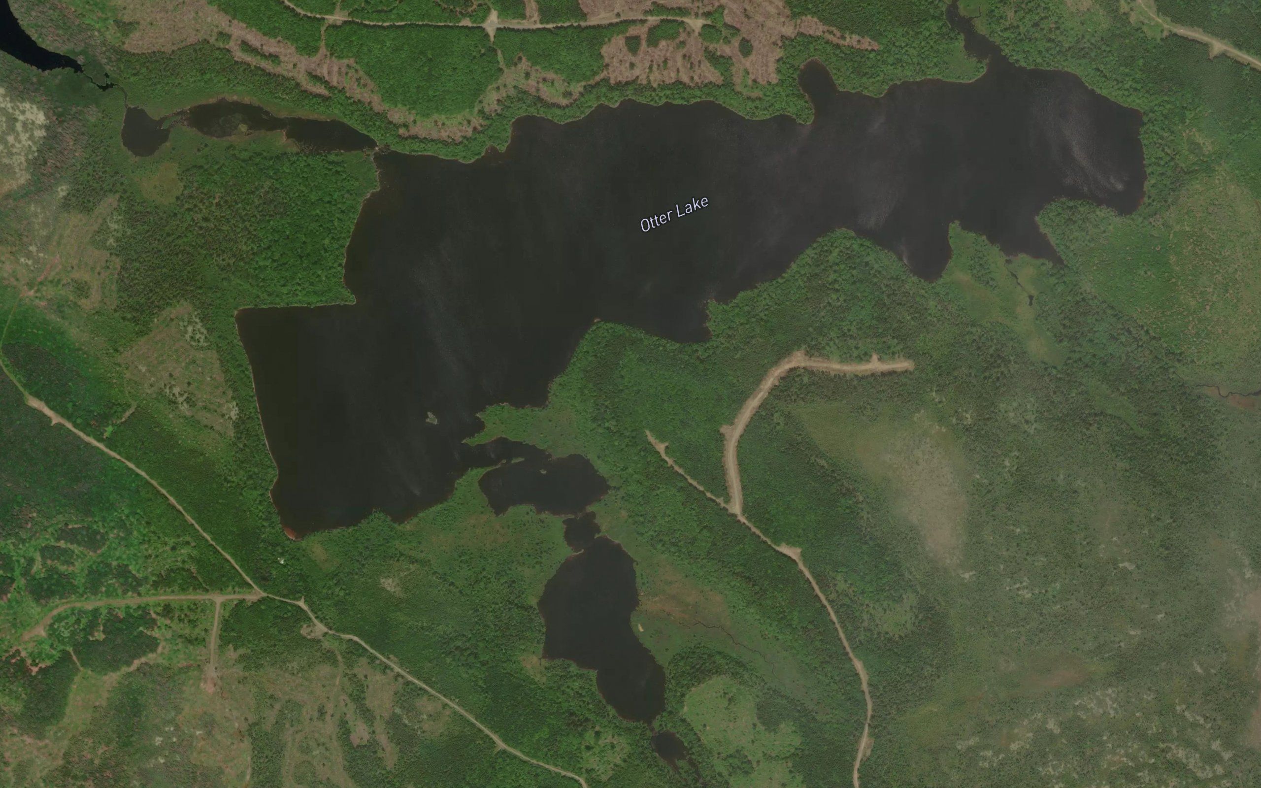 Otter Lake