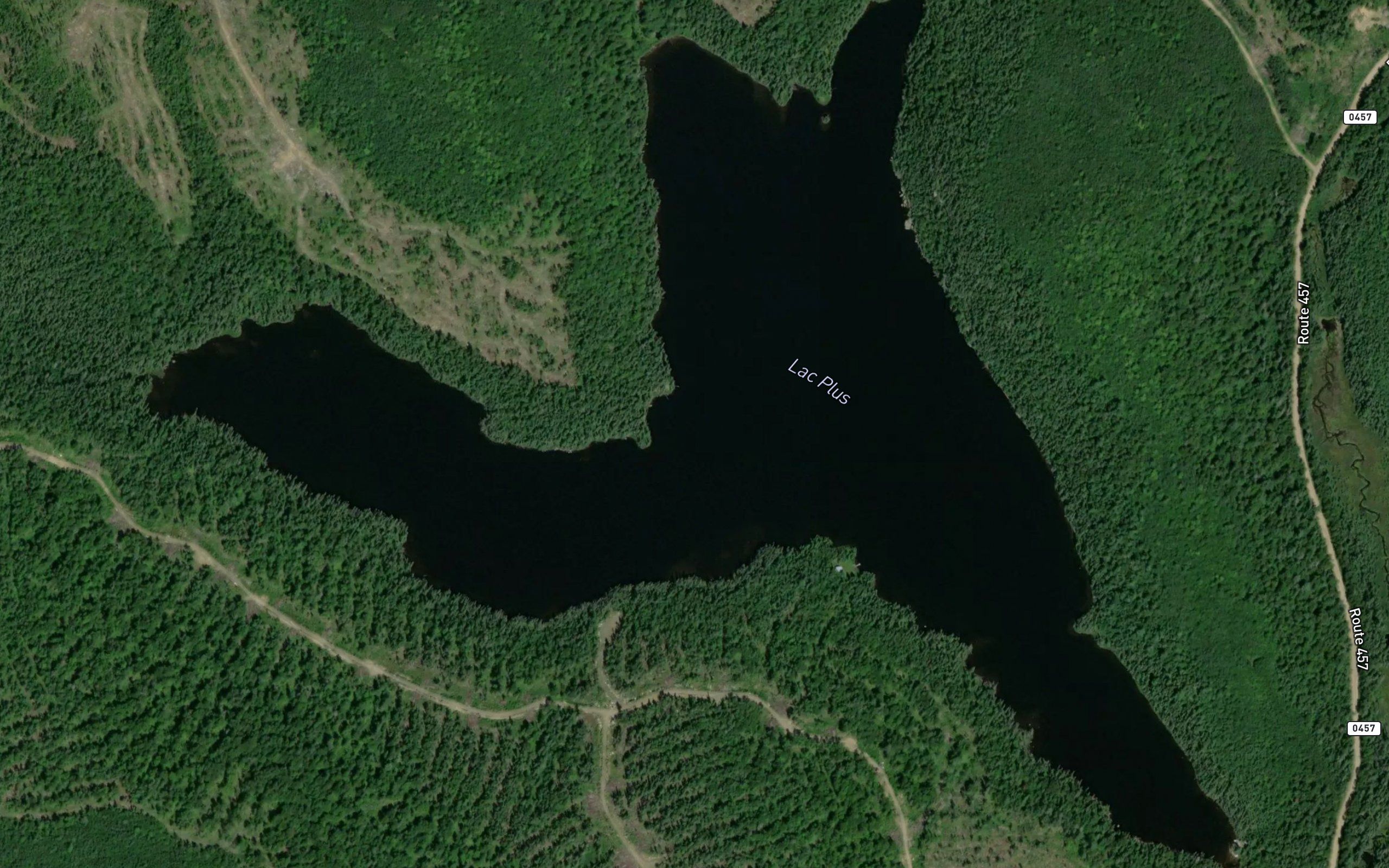 Lac Plus