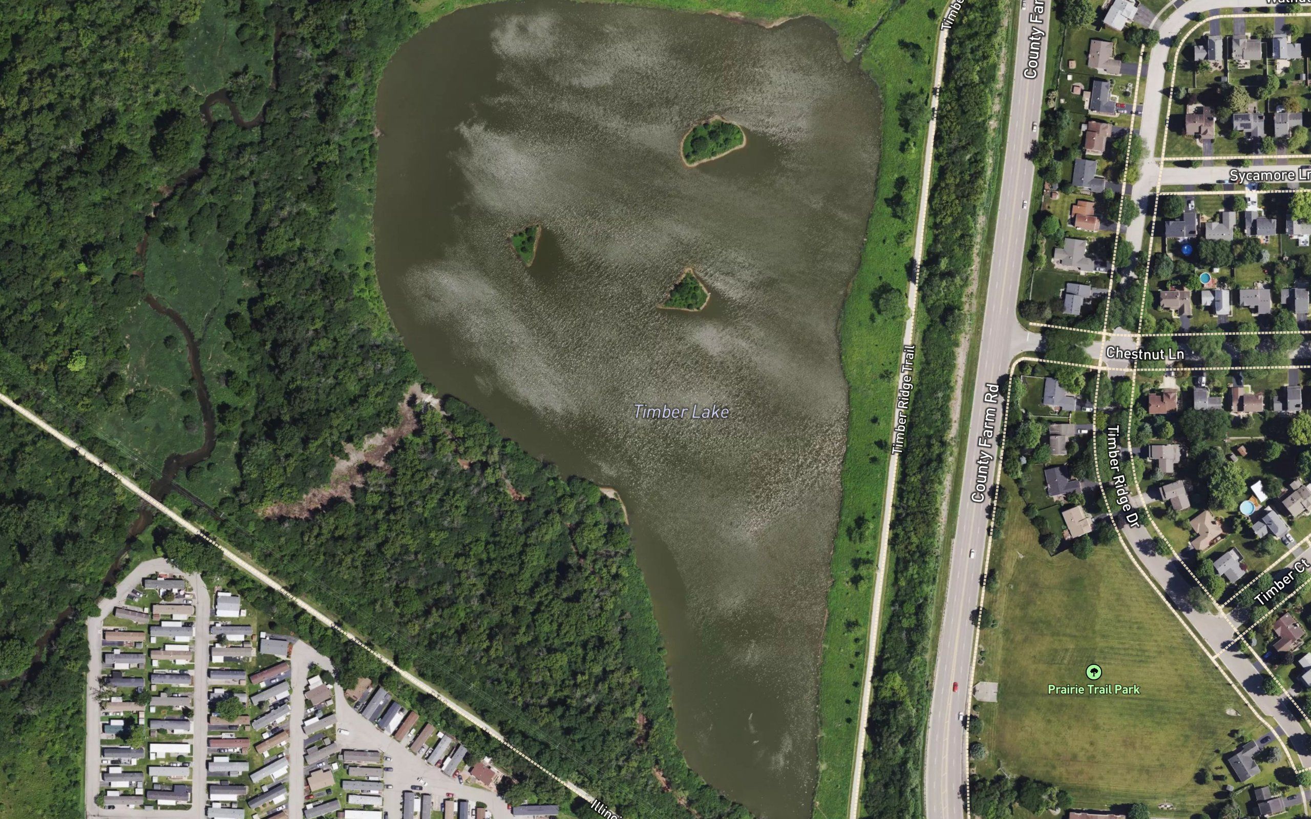 Timber Lake