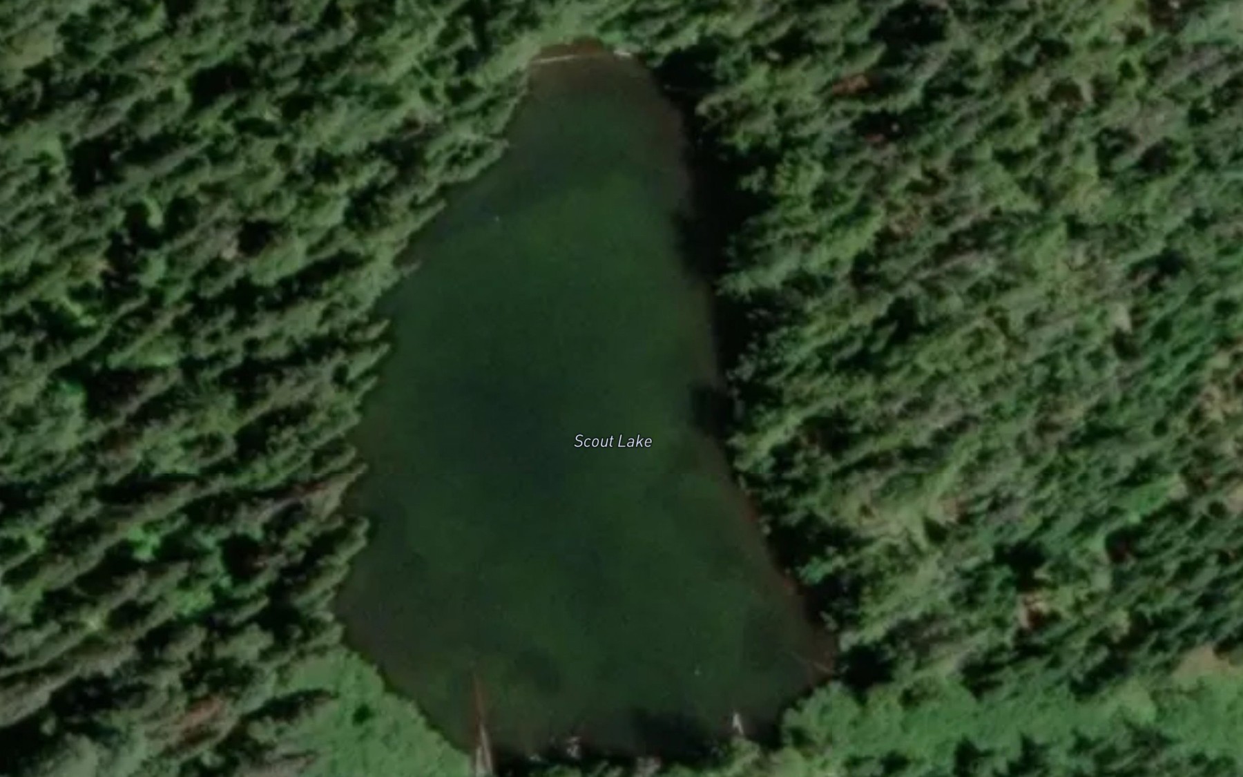Satellite map of the Scout Lake