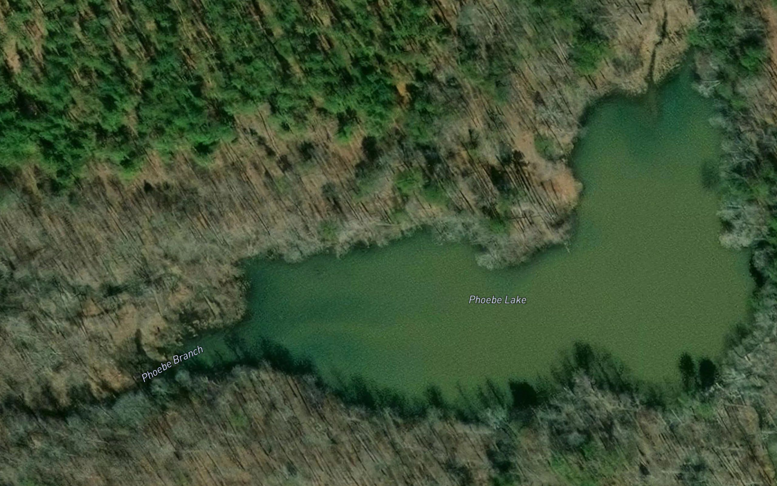 Phoebe Lake