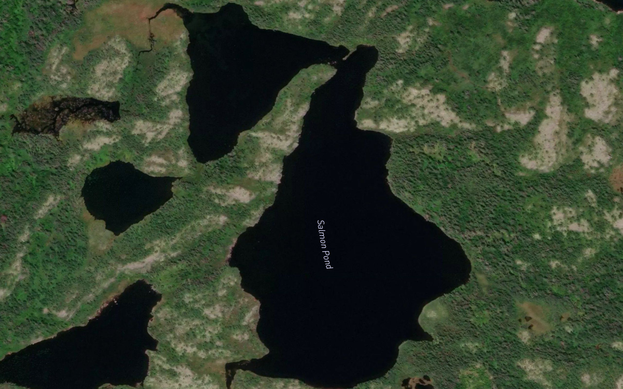 Salmon Pond