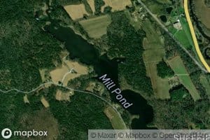 Mill Pond