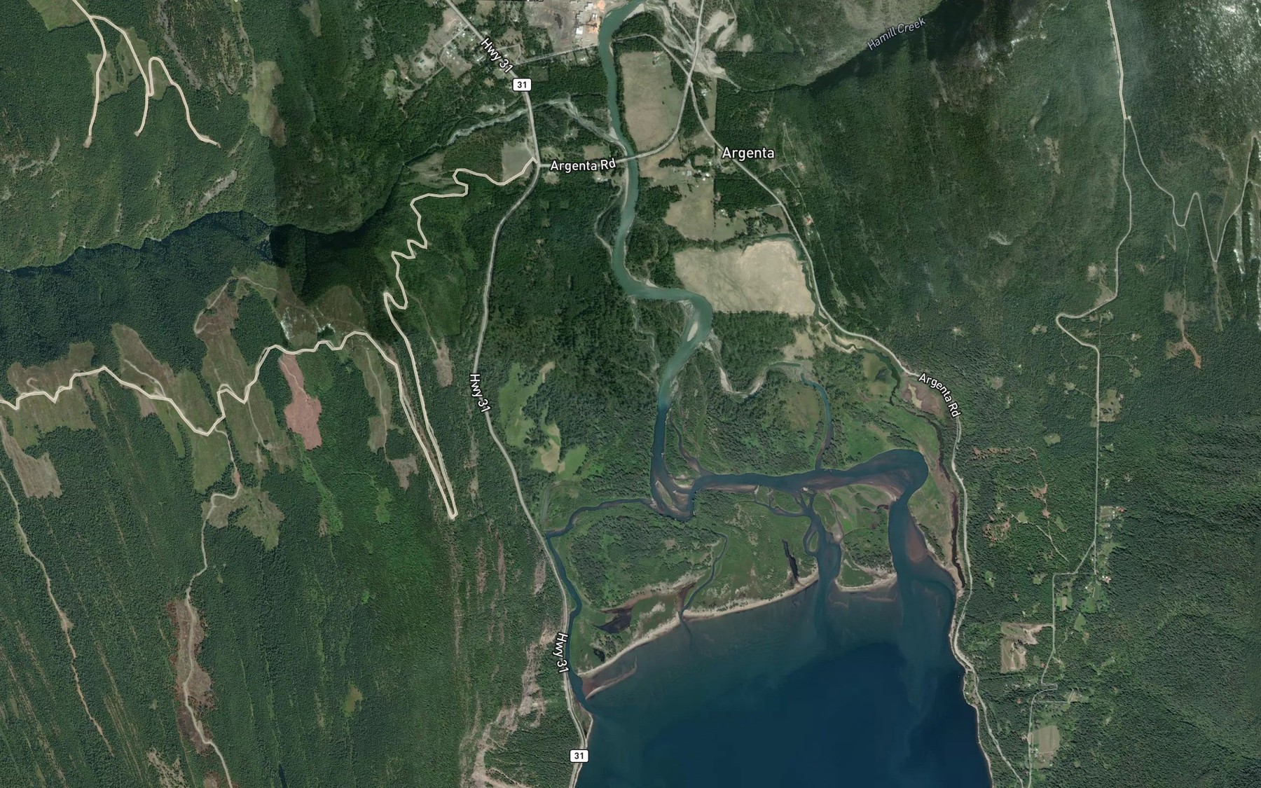 Satellite map of the Duncan River