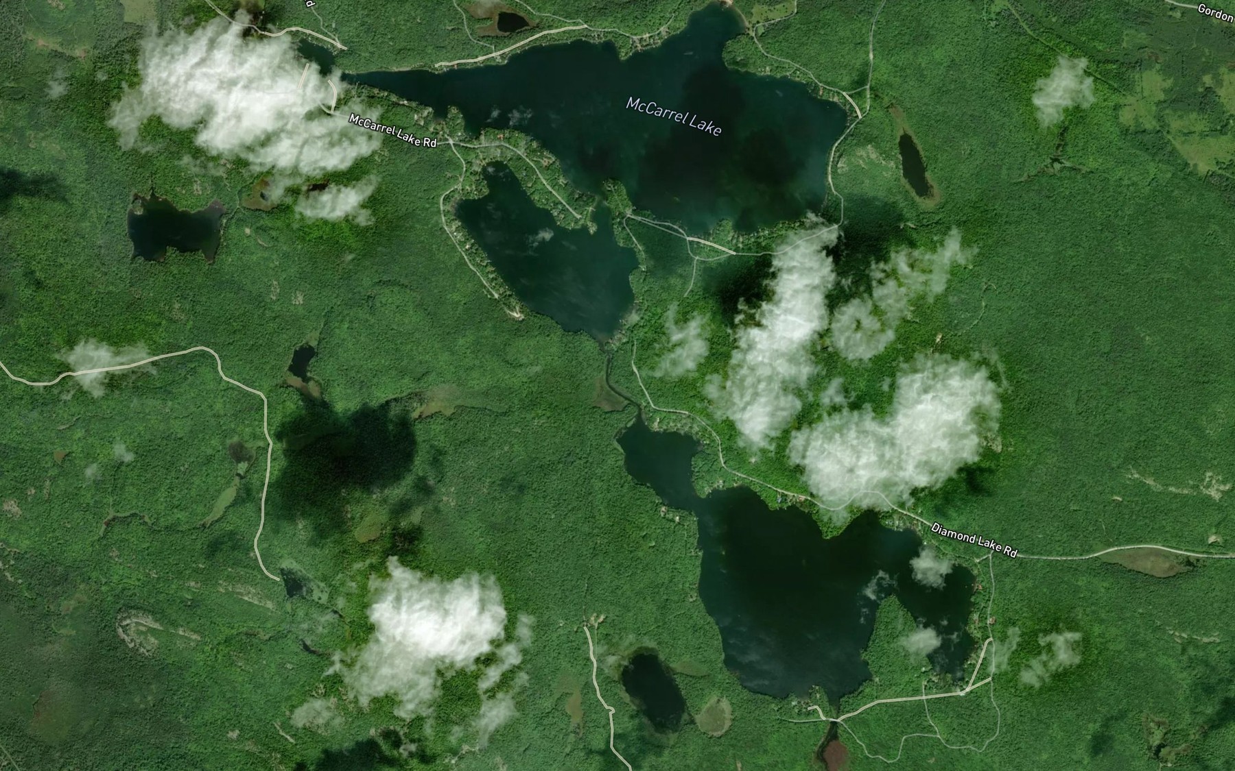 Satellite map of the McCarrel Lake